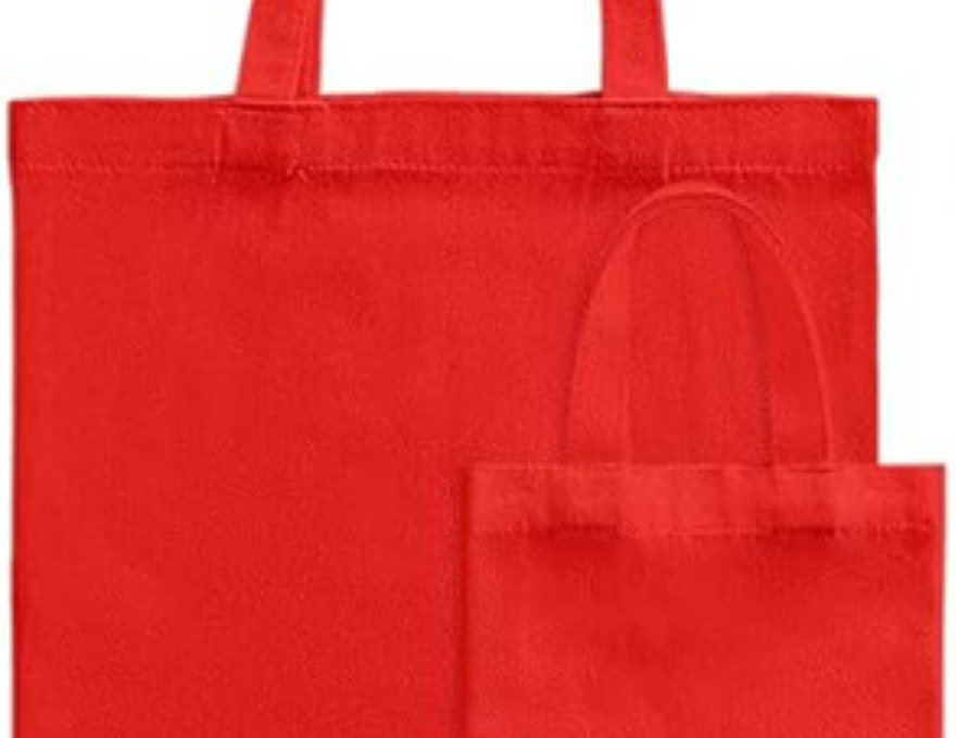 Epic mommy and me canvas bags