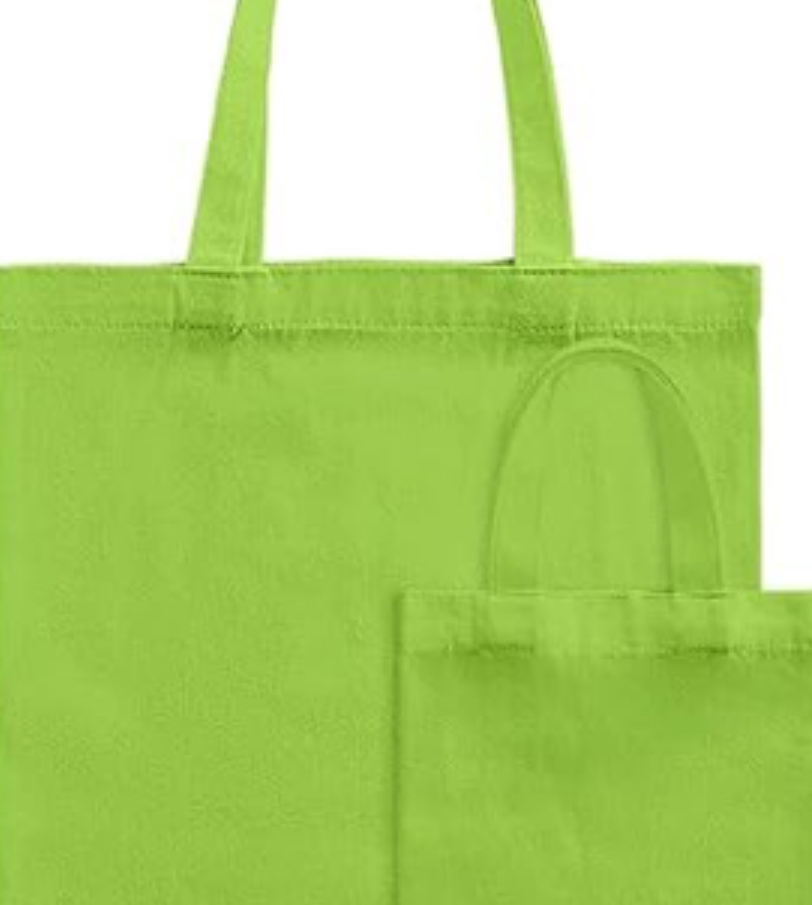 Epic mommy and me canvas bags