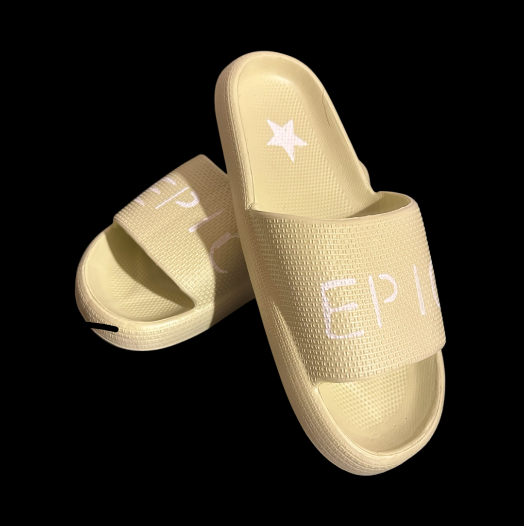 Epic slides
