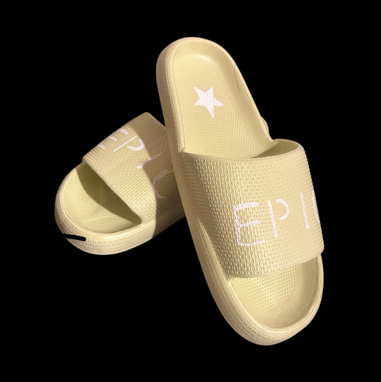 Epic slides